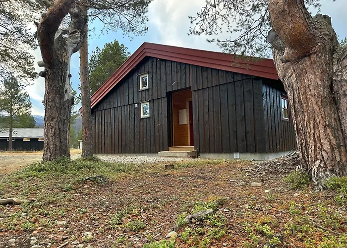 Bjorliheimen Fjellhotell-hytte 4 Og 16 3*